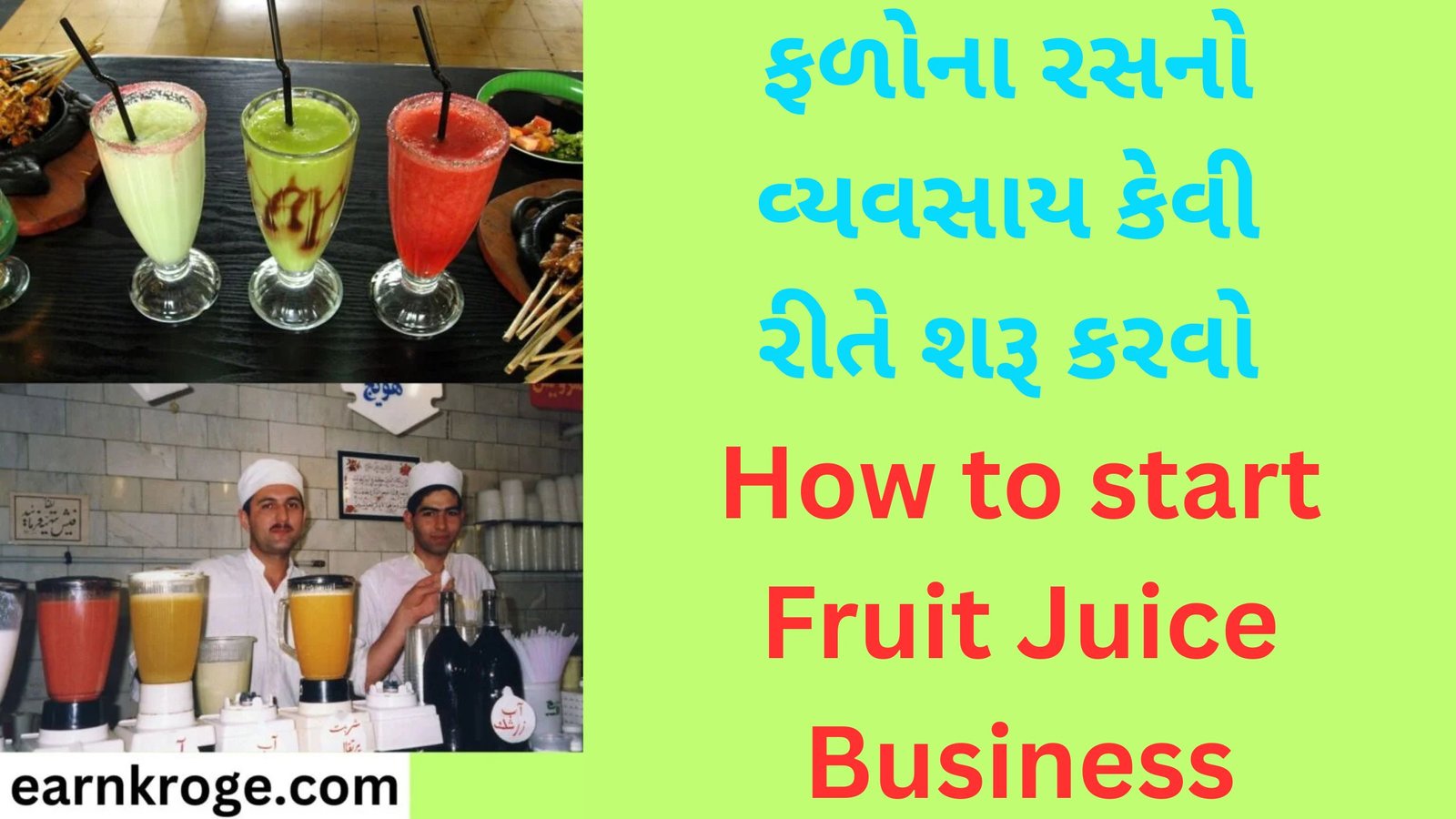 How to start Fruit Juice Business