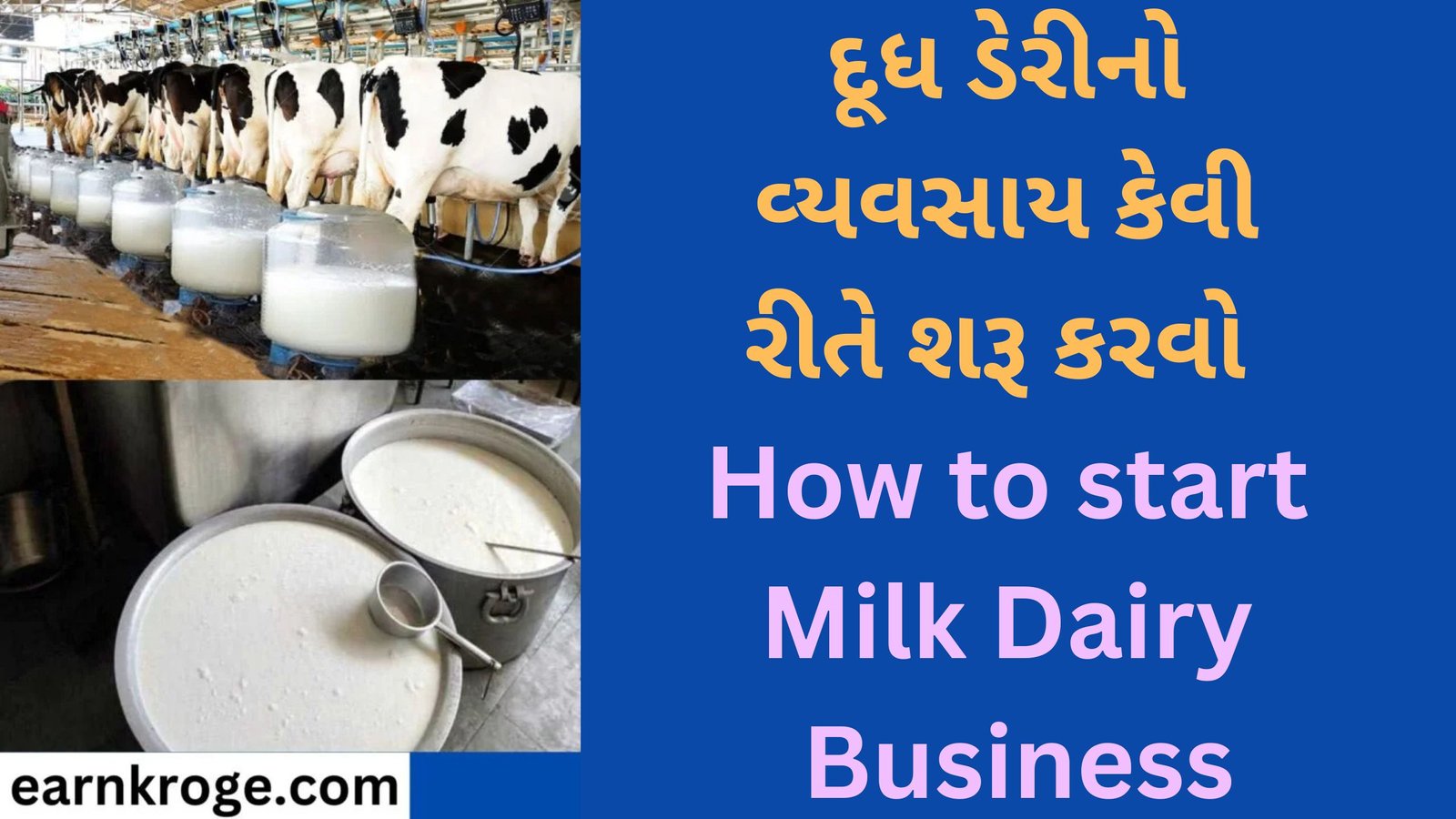 How to start Milk Dairy Business